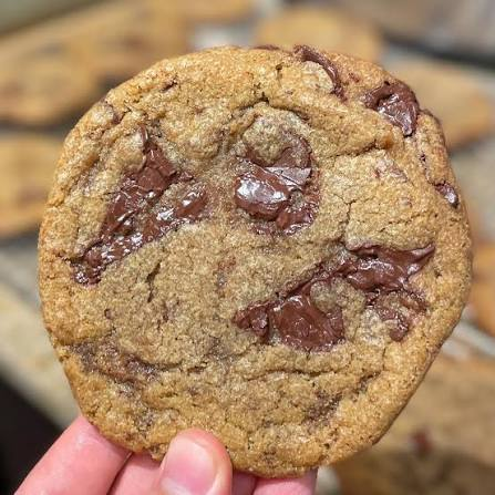 Alvin Zhou's 48 hour chocolate chip cookie that Chris made