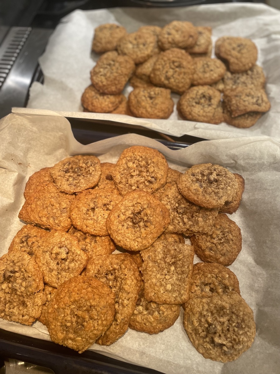 A batch of oatmeal chocolate chip cookies for Cookie Club
