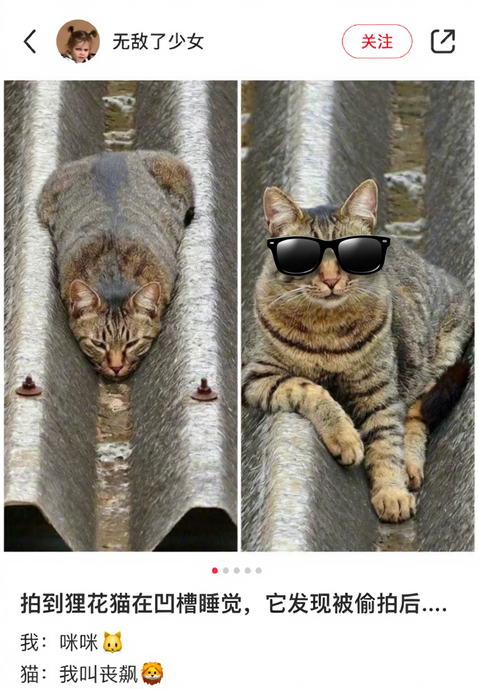 Edited photo of a cat